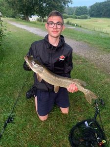 Northern Pike