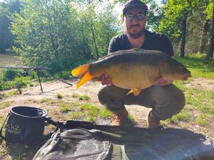 Mirror Carp