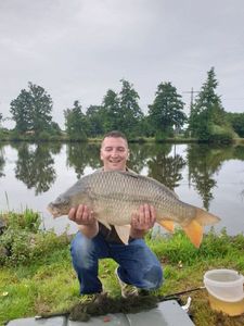 Common Carp