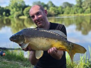 Mirror Carp