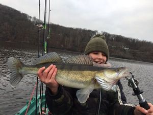 Zander
