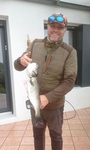 European Bass (Seabass)