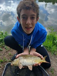 Mirror Carp