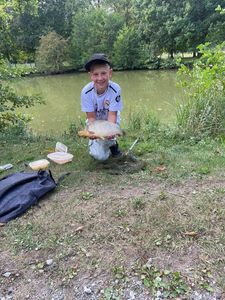 Blue Bream