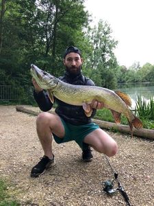 Northern Pike