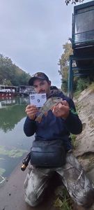 European Perch