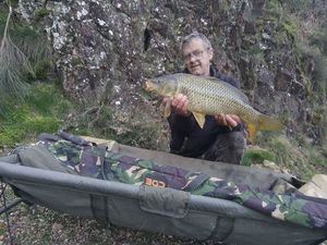Common Carp