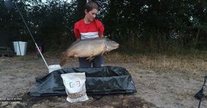 Leather Carp