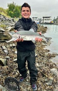 Pink Salmon