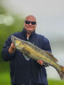 Zander