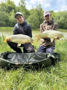 Common Carp