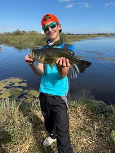 Largemouth Bass
