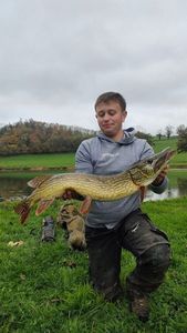 Northern Pike