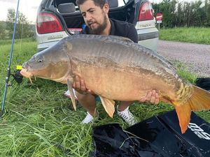 Mirror Carp