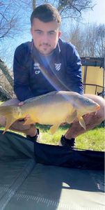 Mirror Carp