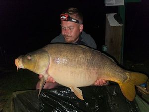 Mirror Carp