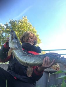 Northern Pike