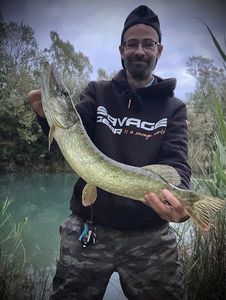 Northern Pike