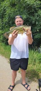 Largemouth Bass