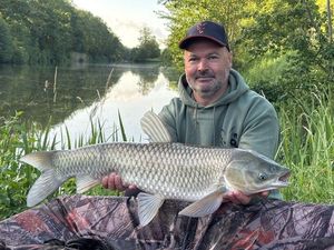 Grass Carp