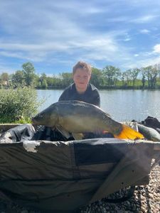 Mirror Carp