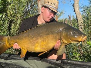 Mirror Carp