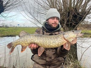 Northern Pike