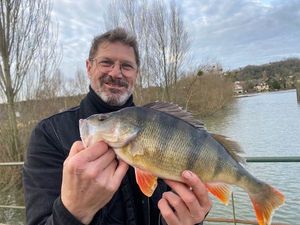 European Perch