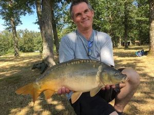 Mirror Carp