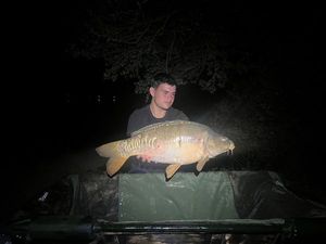 Mirror Carp