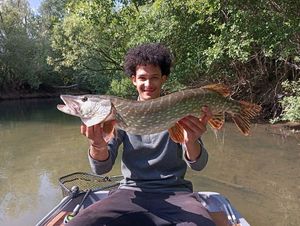 Northern Pike