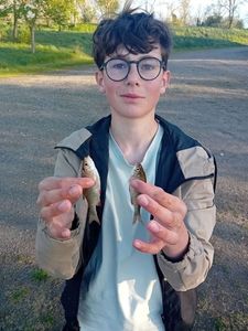 Roach