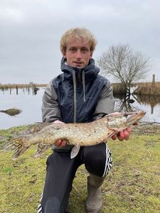 Northern Pike