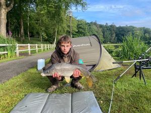 Common Carp
