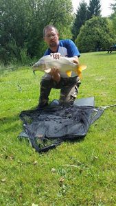 Common Carp