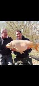 Mirror Carp