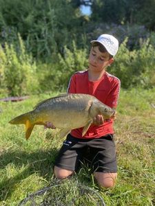 Mirror Carp