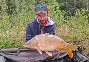Mirror Carp