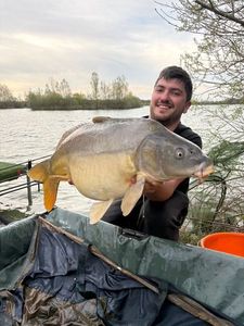 Mirror Carp