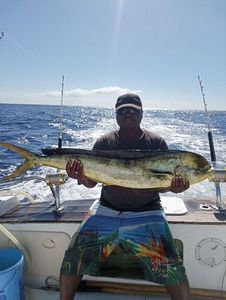 Dolphinfish