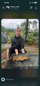 Mirror Carp
