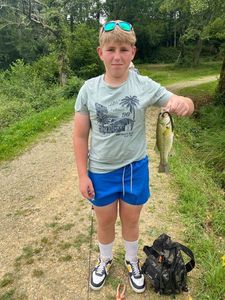 Largemouth Bass