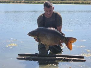 Mirror Carp