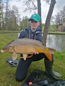 Mirror Carp