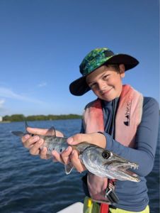 Great Barracuda