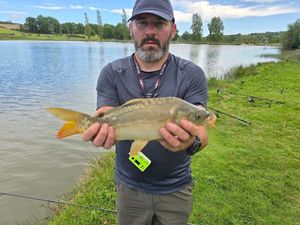 Mirror Carp