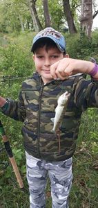 Zander
