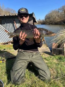 Northern Pike