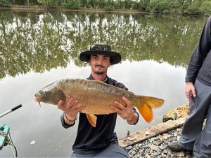 Mirror Carp
