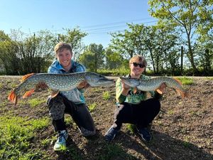 Northern Pike
